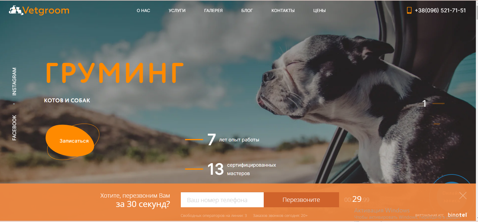Vetgroom website